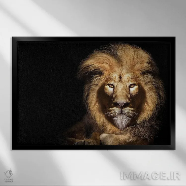 تابلو پرتره شیر نر آفریقایی روی پسزمینه سیاه اثر آدریان ویریو - نمای قابدار مشکی