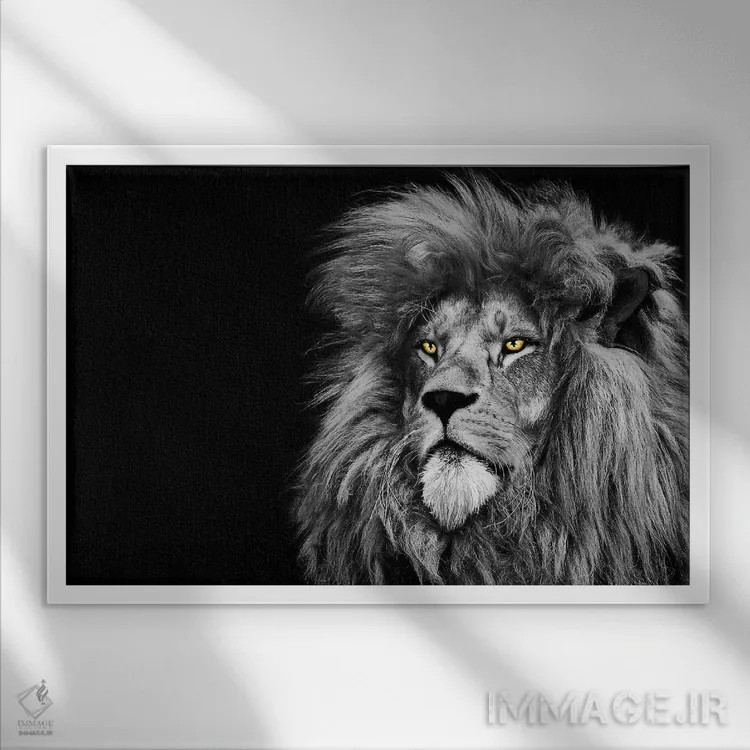 تابلو شیر در حال نگاه به بالا، سیاهوسفید اثر آدریان ویریو - نمای قابدار سفید
