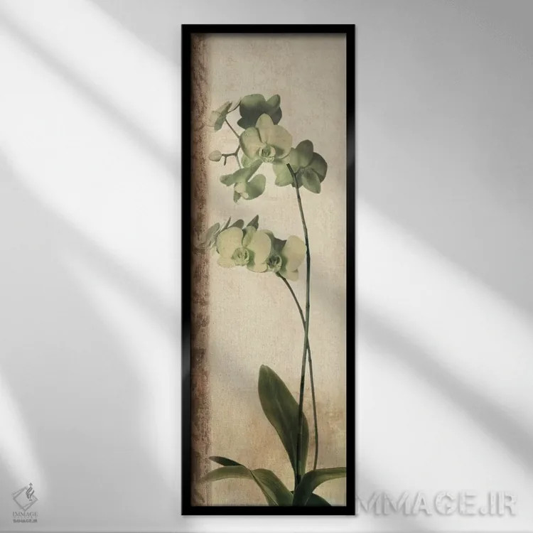 تابلو بافندهٔ رویا I اثر کریس دونوان - نمای قابدار مشکی