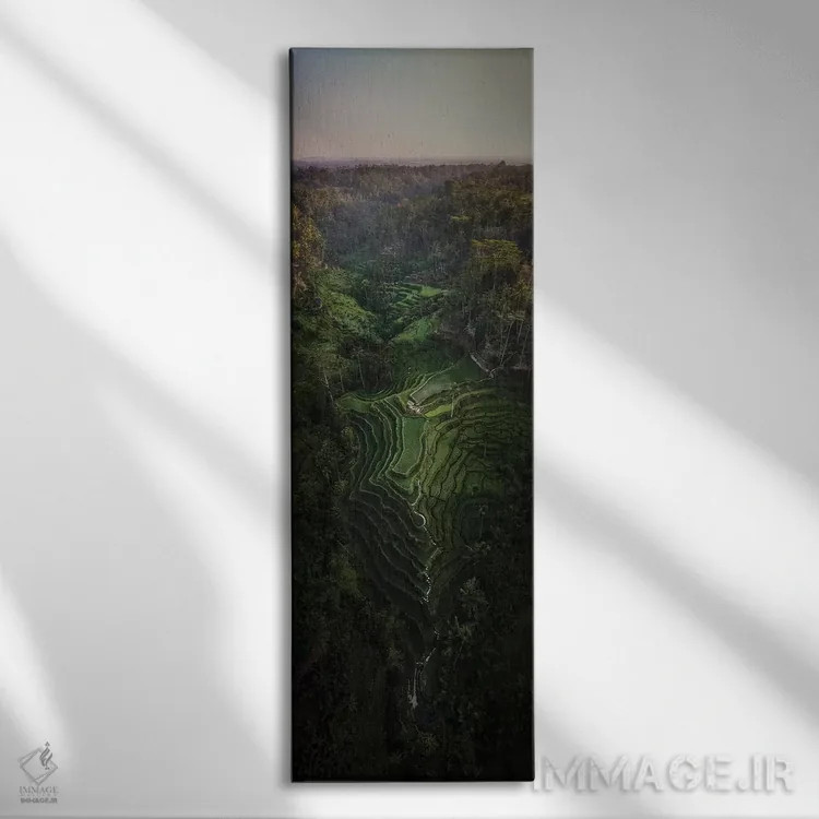 تابلو بالی سه (اندونزی) اثر دایسوکه اوئهماتسو - نمای روبهرو روی دیوار