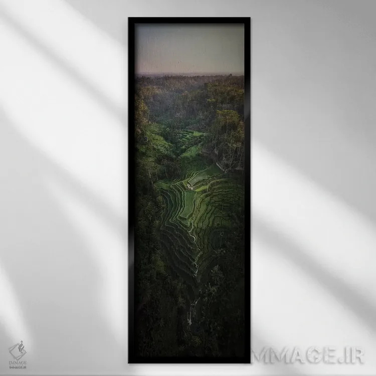 تابلو بالی سه (اندونزی) اثر دایسوکه اوئهماتسو - نمای قابدار مشکی