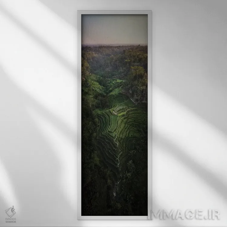 تابلو بالی سه (اندونزی) اثر دایسوکه اوئهماتسو - نمای قابدار سفید