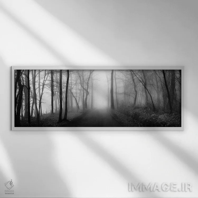 تابلو پیادهروی در جنگل اثر ارین کلارک - نمای قابدار سفید