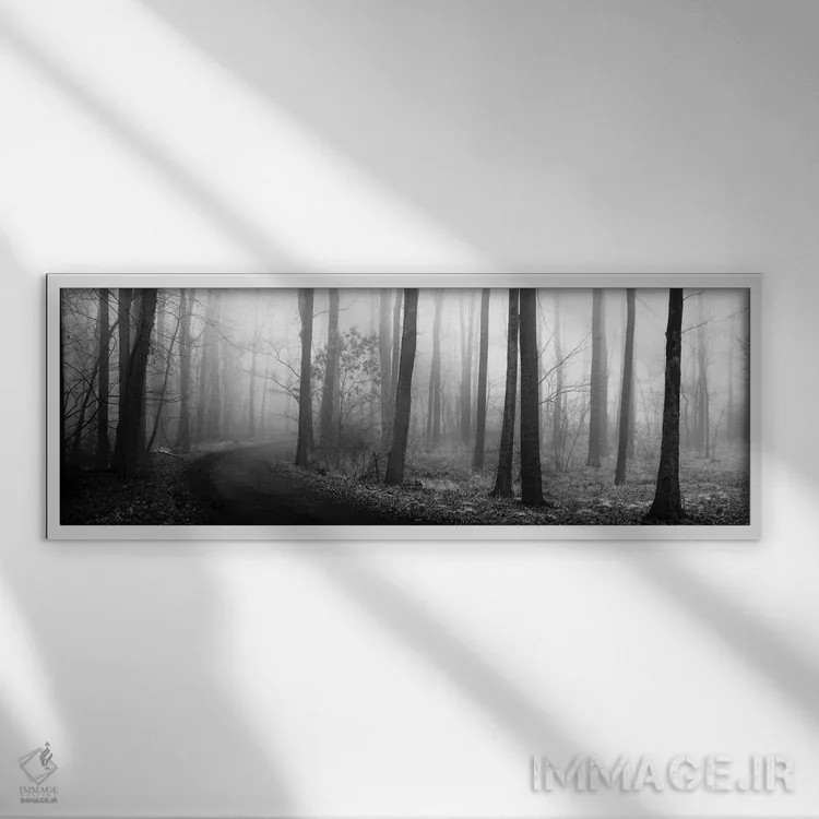 تابلو مسیر جنگلی اثر ارین کلارک - نمای قابدار سفید