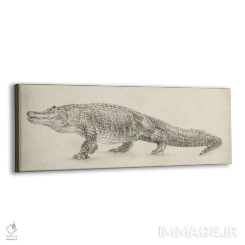 تابلو طرح تمساح اثر اتان هارپر - نمای پرسپکتیو محصول