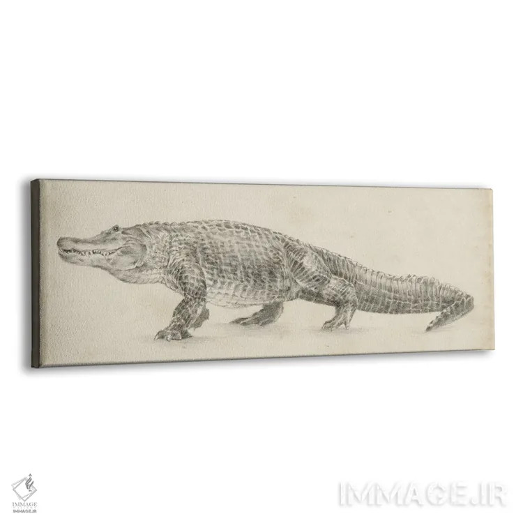 تابلو طرح تمساح اثر اتان هارپر - نمای پرسپکتیو محصول