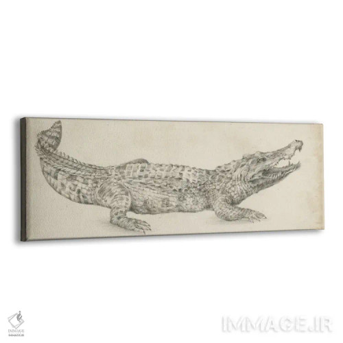 تابلو طرح کروکودیل اثر اتان هارپر - نمای پرسپکتیو محصول