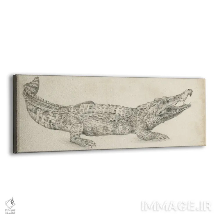 تابلو طرح کروکودیل اثر اتان هارپر - نمای پرسپکتیو محصول