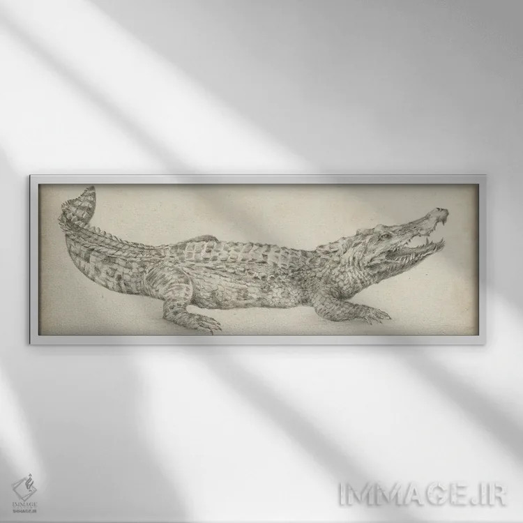 تابلو طرح کروکودیل اثر اتان هارپر - نمای قابدار سفید