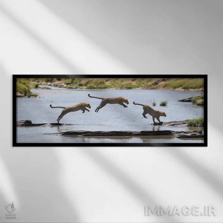 تابلو پرش پلنگ اثر المر وایس - نمای قابدار مشکی