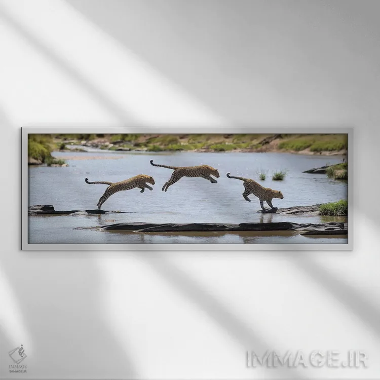 تابلو پرش پلنگ اثر المر وایس - نمای قابدار سفید