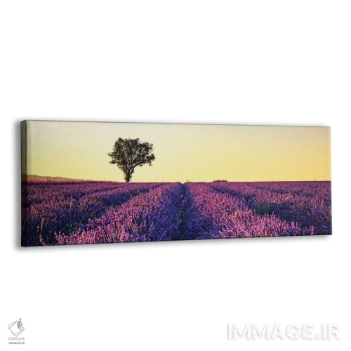 تابلو غروب در پروانس (فرانسه) اثر مانجیک پیکچرز (استودیو عکاسی یا فیلمسازی) - نمای پرسپکتیو محصول