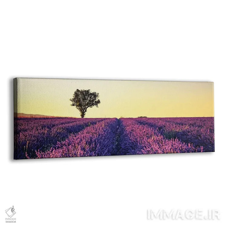 تابلو غروب در پروانس (فرانسه) اثر مانجیک پیکچرز (استودیو عکاسی یا فیلمسازی) - نمای پرسپکتیو محصول