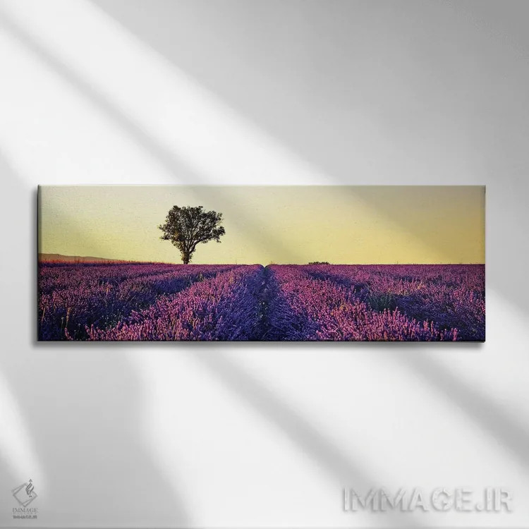 تابلو غروب در پروانس (فرانسه) اثر مانجیک پیکچرز (استودیو عکاسی یا فیلمسازی) - نمای روبهرو روی دیوار