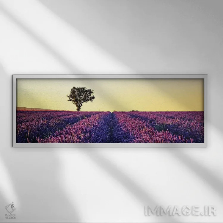 تابلو غروب در پروانس (فرانسه) اثر مانجیک پیکچرز (استودیو عکاسی یا فیلمسازی) - نمای قابدار سفید