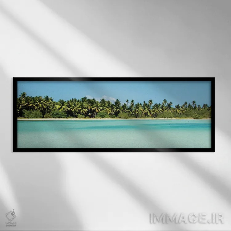 تابلو بهشت گرمسیری اثر امیلی ناواس - نمای قابدار مشکی