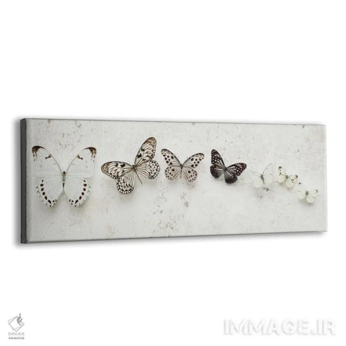 تابلو پروانههای خالدار رقصان اثر آلیسون فنل - نمای پرسپکتیو محصول