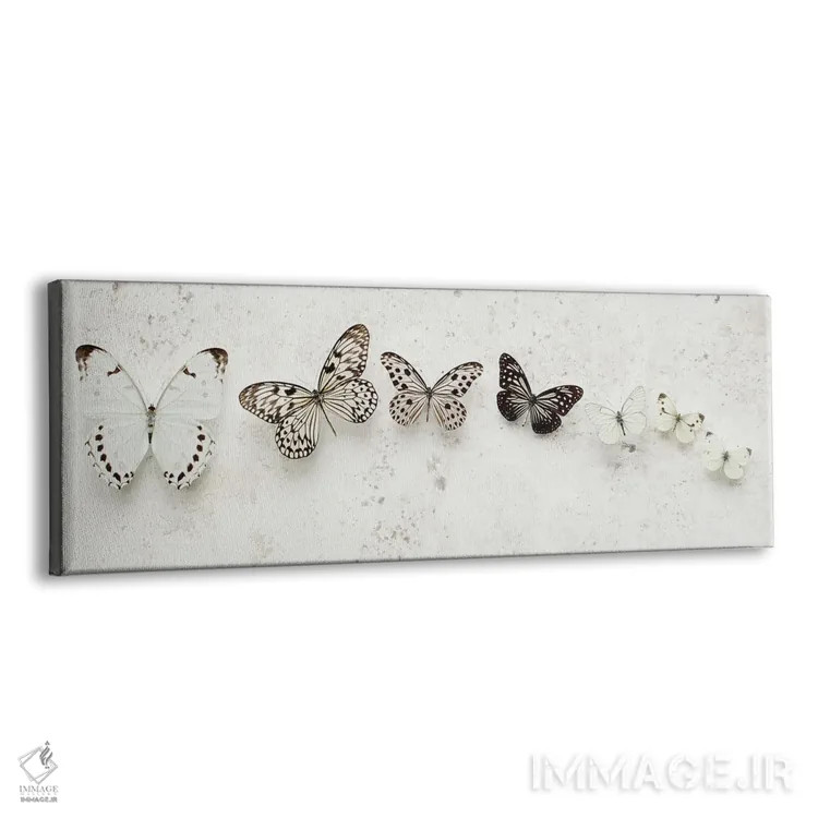 تابلو پروانههای خالدار رقصان اثر آلیسون فنل - نمای پرسپکتیو محصول