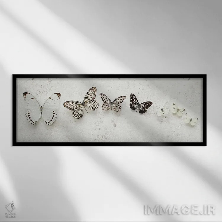 تابلو پروانههای خالدار رقصان اثر آلیسون فنل - نمای قابدار مشکی