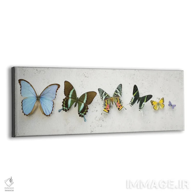تابلو پروانههای رقصان درخشان اثر آلیسون فنل - نمای پرسپکتیو محصول