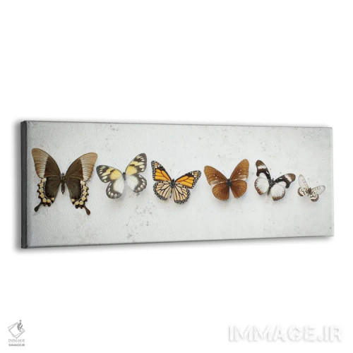 تابلو پروانههای قهوهای رقصان اثر آلیسون فنل - نمای پرسپکتیو محصول