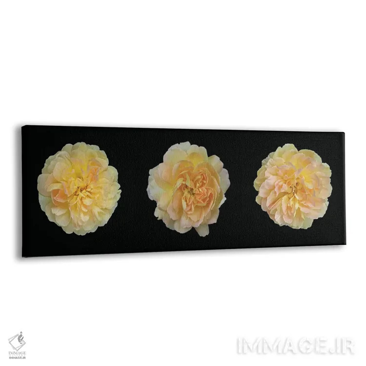 تابلو سهلتاب رز زرد اثر آلیسون فنل - نمای پرسپکتیو محصول