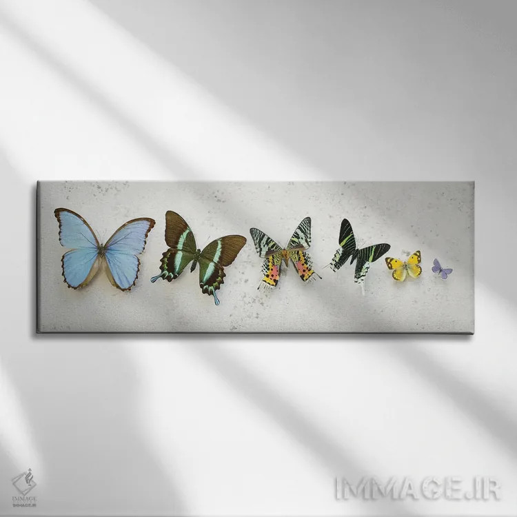 تابلو پروانههای رقصان درخشان اثر آلیسون فنل - نمای روبهرو روی دیوار