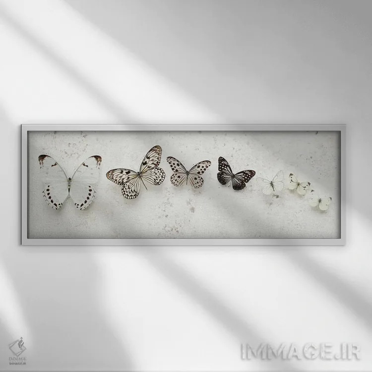 تابلو پروانههای خالدار رقصان اثر آلیسون فنل - نمای قابدار سفید