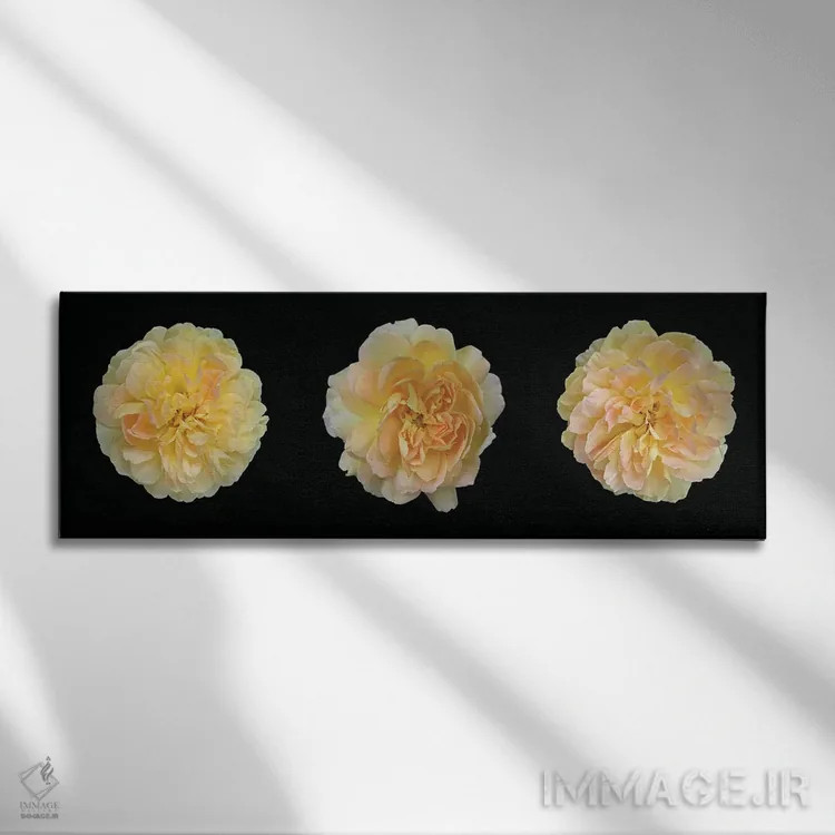 تابلو سهلتاب رز زرد اثر آلیسون فنل - نمای روبهرو روی دیوار