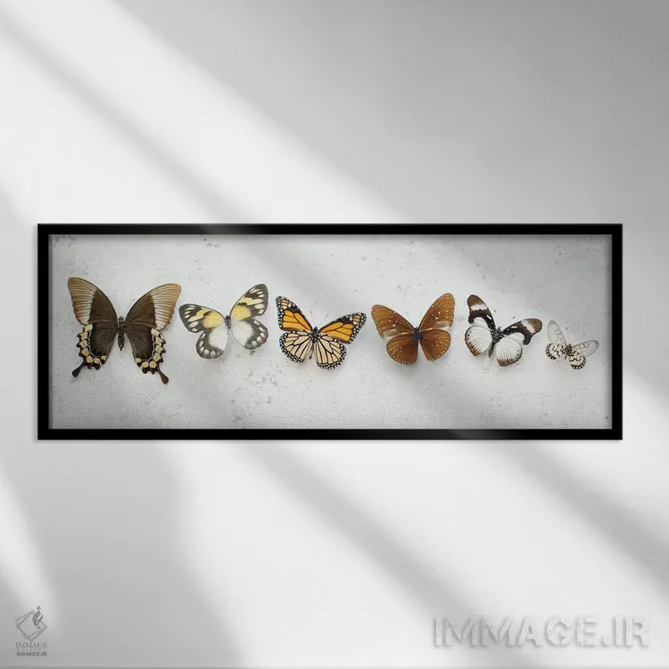 تابلو پروانههای قهوهای رقصان اثر آلیسون فنل - نمای قابدار مشکی