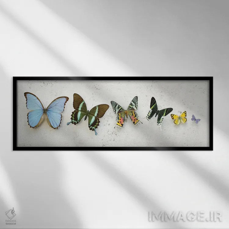 تابلو پروانههای رقصان درخشان اثر آلیسون فنل - نمای قابدار مشکی