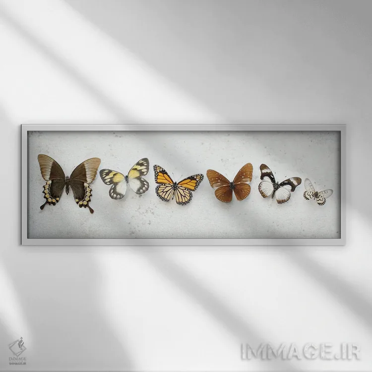 تابلو پروانههای قهوهای رقصان اثر آلیسون فنل - نمای قابدار سفید
