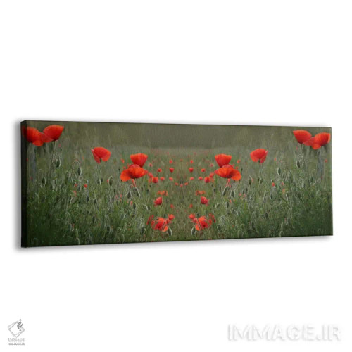 تابلو تقارن مزرعه خشخاش قرمز اثر آلیسون فنل - نمای پرسپکتیو محصول