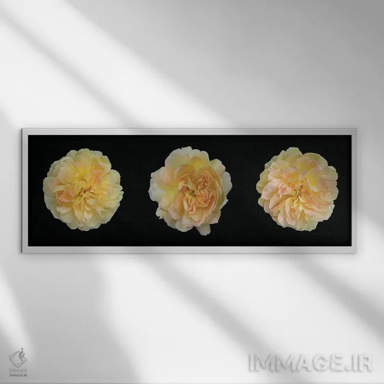 تابلو سهلتاب رز زرد اثر آلیسون فنل - نمای قابدار سفید
