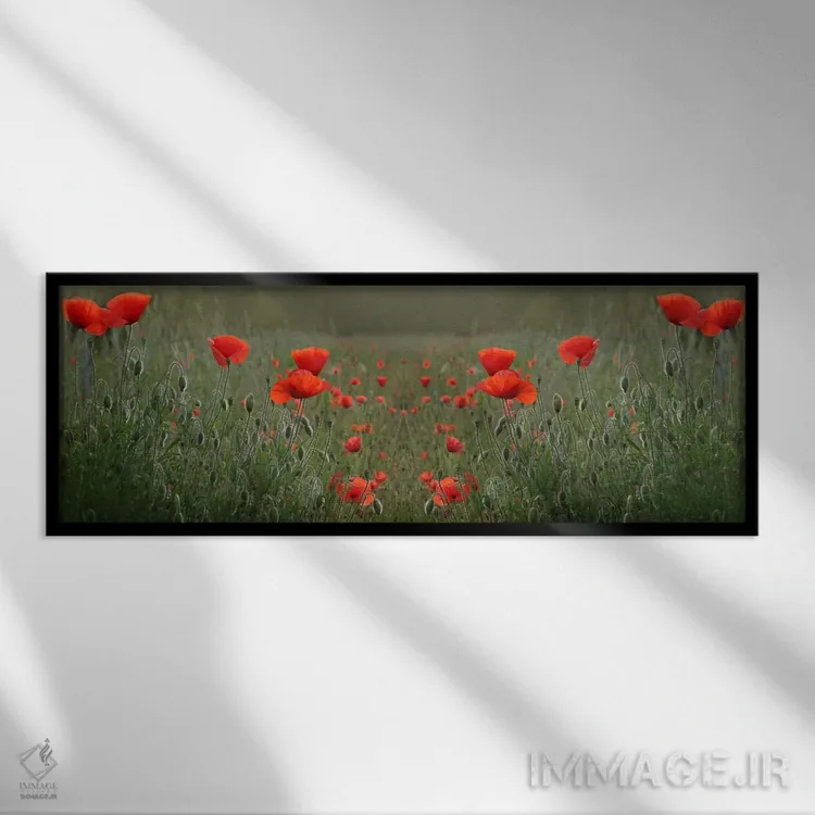 تابلو تقارن مزرعه خشخاش قرمز اثر آلیسون فنل - نمای قابدار مشکی