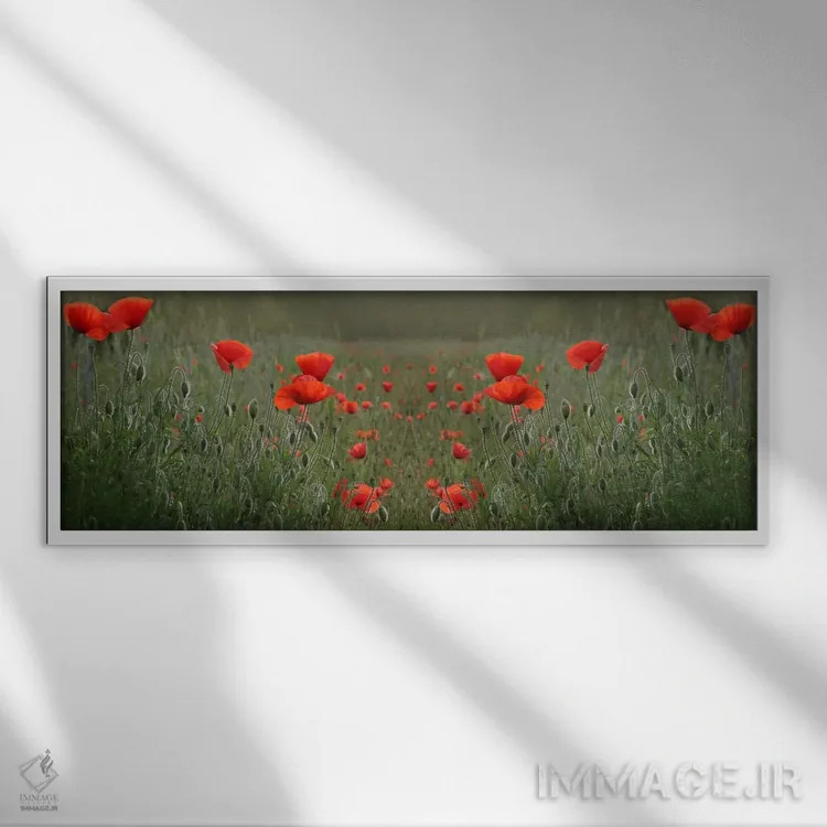 تابلو تقارن مزرعه خشخاش قرمز اثر آلیسون فنل - نمای قابدار سفید