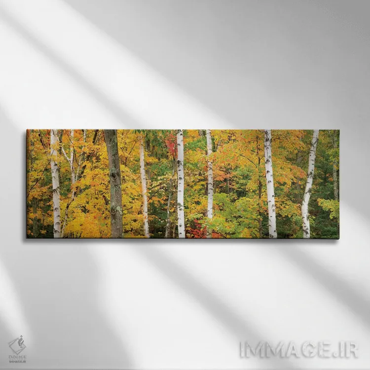 تابلو منظره جنگل پاییزی، کوههای سفید، نیوهمشایر، آمریکا اثر گارث مککورمک - نمای روبهرو روی دیوار