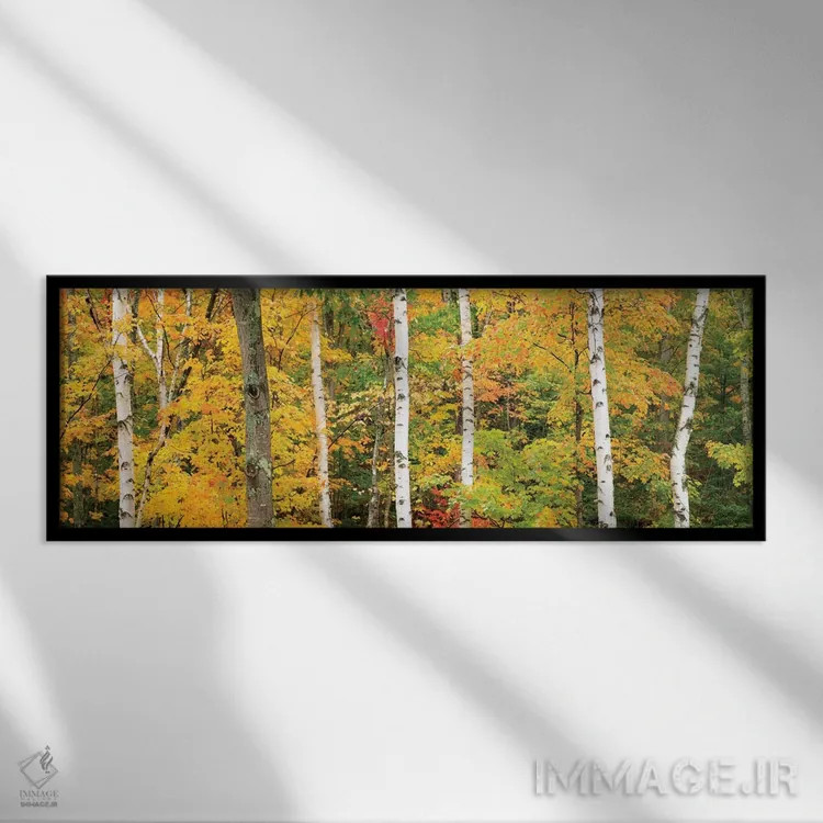 تابلو منظره جنگل پاییزی، کوههای سفید، نیوهمشایر، آمریکا اثر گارث مککورمک - نمای قابدار مشکی