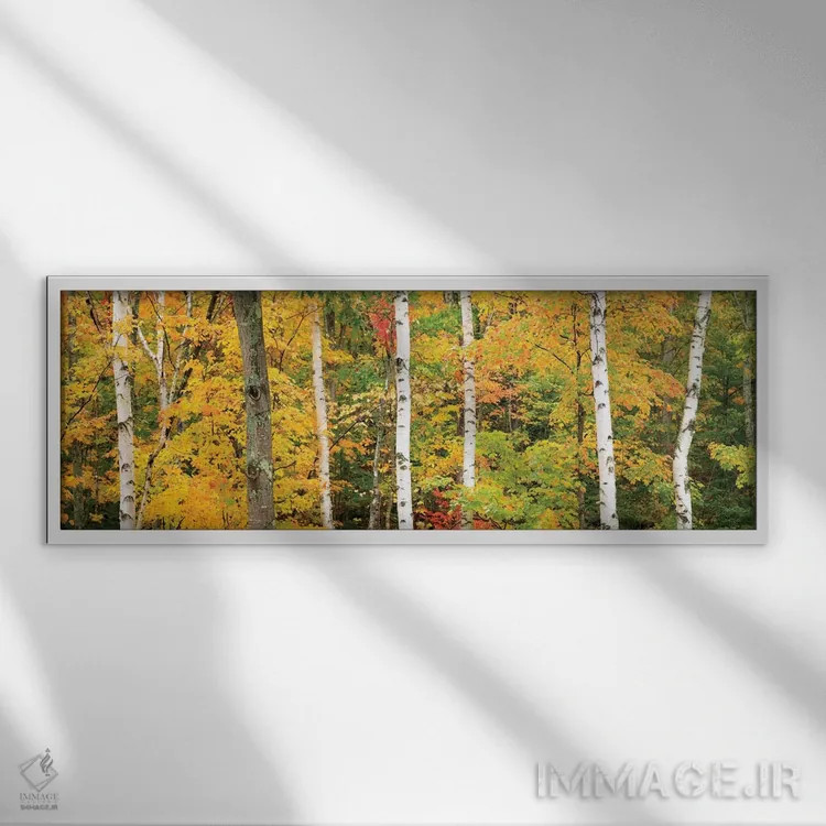 تابلو منظره جنگل پاییزی، کوههای سفید، نیوهمشایر، آمریکا اثر گارث مککورمک - نمای قابدار سفید