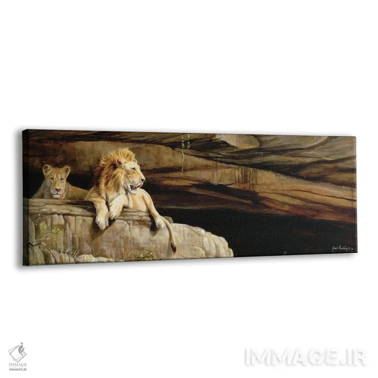 تابلو شیرهای اومفولوزی (پارک ملی در آفریقای جنوبی) اثر گرانت هکینگ - نمای پرسپکتیو محصول