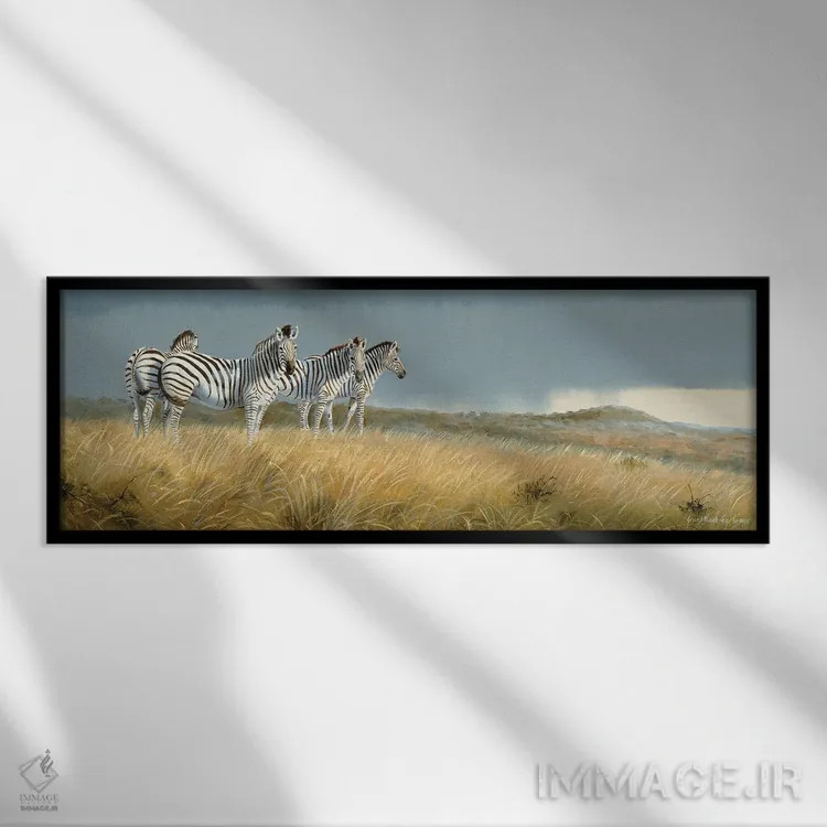 تابلو گورخرهای زولو لند اثر گرانت هکینگ - نمای قابدار مشکی