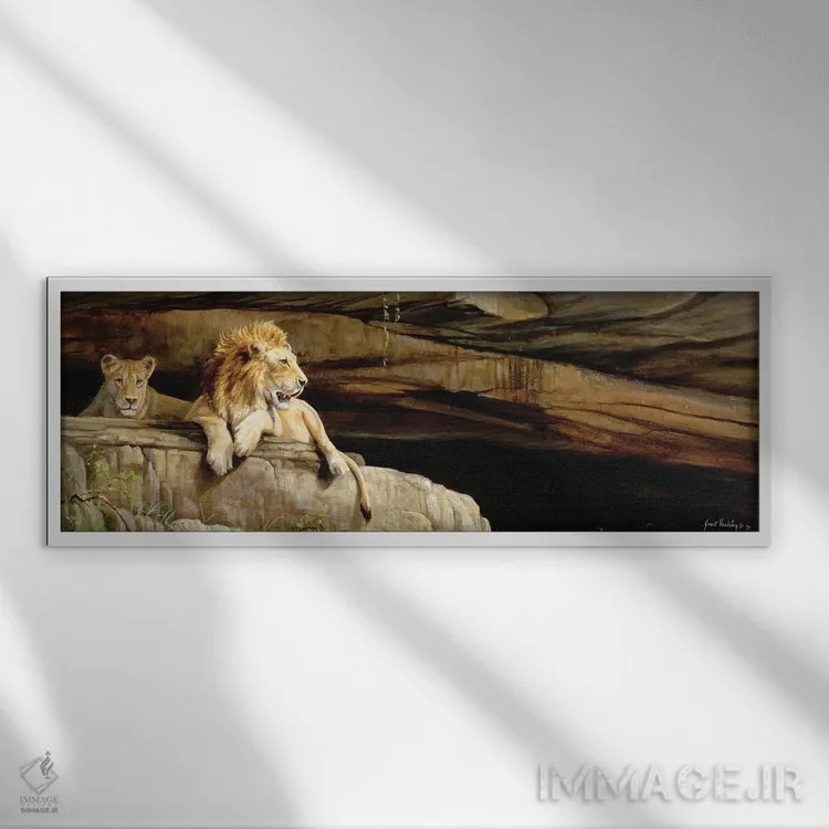 تابلو شیرهای اومفولوزی (پارک ملی در آفریقای جنوبی) اثر گرانت هکینگ - نمای قابدار سفید