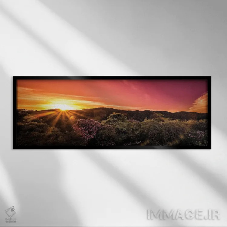 تابلو جنگل گرمسیری شماره ۴ اثر گلاوکو منهالی - نمای قابدار مشکی