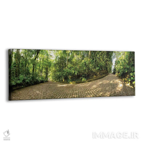 تابلو جنگل گرمسیری شماره ۵ اثر گلاوکو منهالی - نمای پرسپکتیو محصول