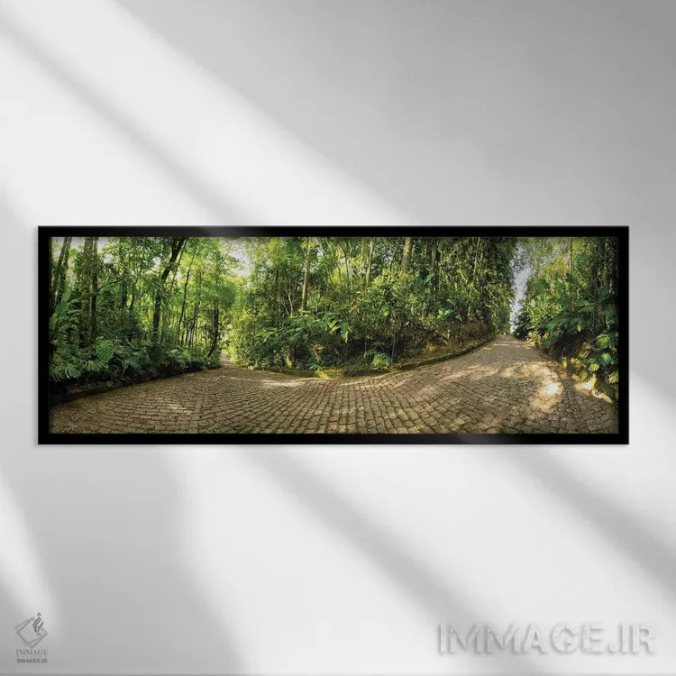تابلو جنگل گرمسیری شماره ۵ اثر گلاوکو منهالی - نمای قابدار مشکی