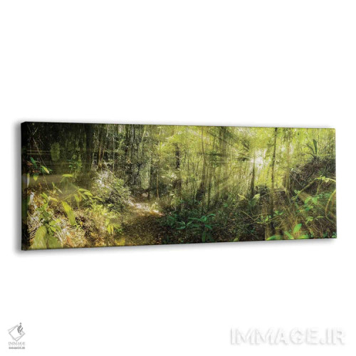 تابلو جنگل گرمسیری شماره ۱۱ اثر گلاوکو منهالی - نمای پرسپکتیو محصول