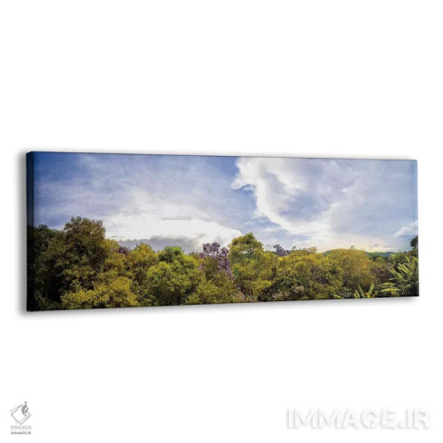 تابلو جنگل گرمسیری شماره ۱۲ اثر گلاوکو منهالی - نمای پرسپکتیو محصول