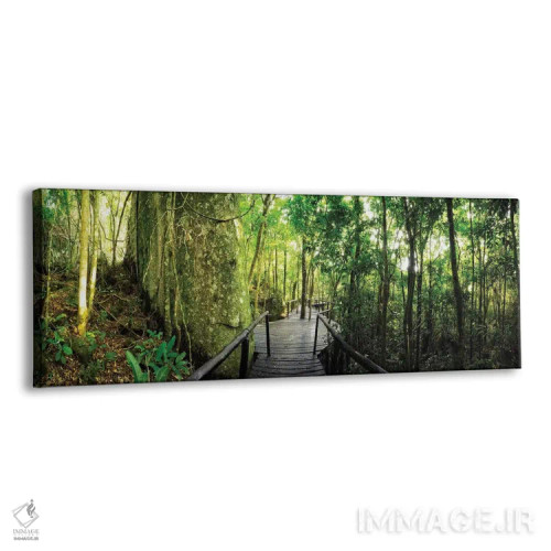 تابلو جنگل گرمسیری شماره ۶ اثر گلاوکو منهالی - نمای پرسپکتیو محصول