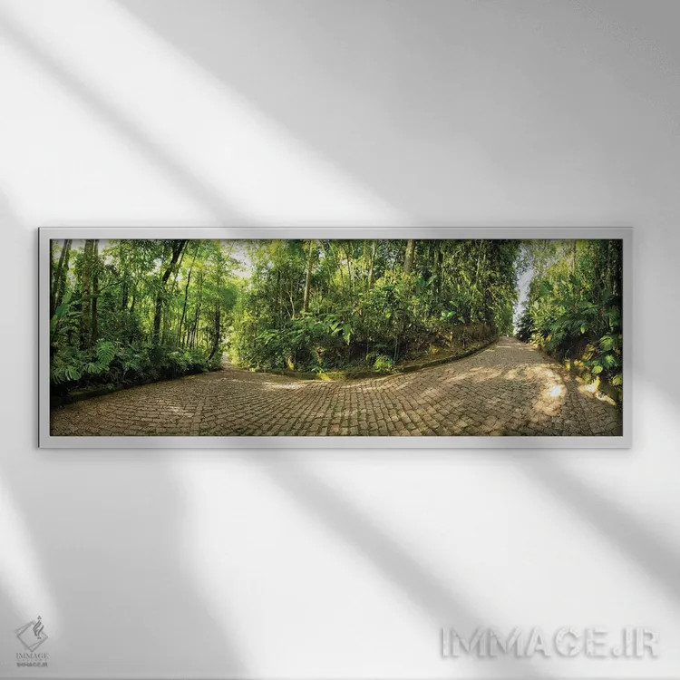 تابلو جنگل گرمسیری شماره ۵ اثر گلاوکو منهالی - نمای قابدار سفید