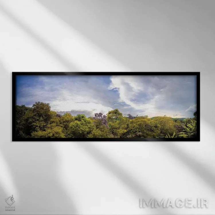 تابلو جنگل گرمسیری شماره ۱۲ اثر گلاوکو منهالی - نمای قابدار مشکی